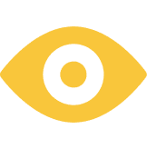 Vision Icon