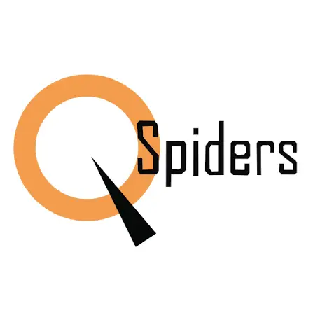 Spiders